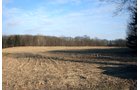 Tract 3 - REAL ESTATE AUCTION - 84.5+/- ACRES IN 4 TRACTS IN WHITLEY COUNTY, INDIANA